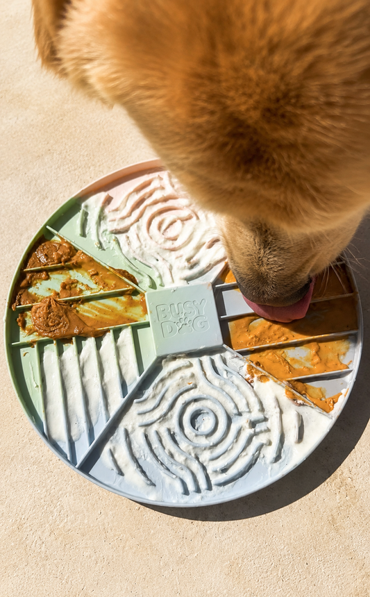 4 Easy Lick Mat Recipes Your Dog Will Love