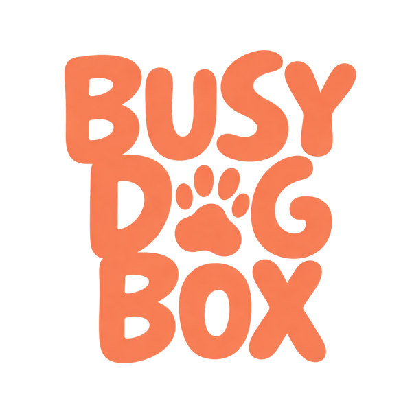 Busy Dog Box