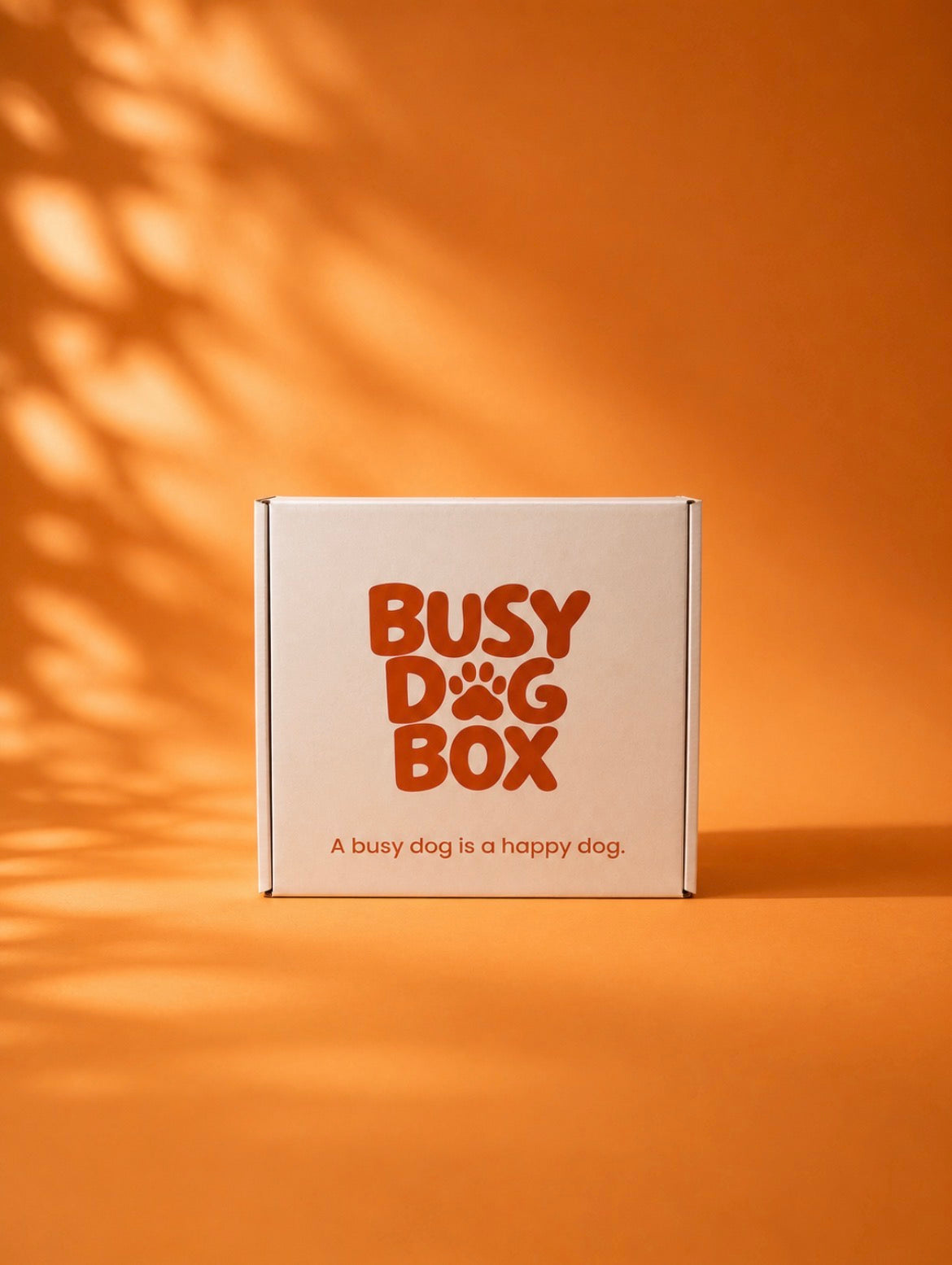 The Busy Dog Box