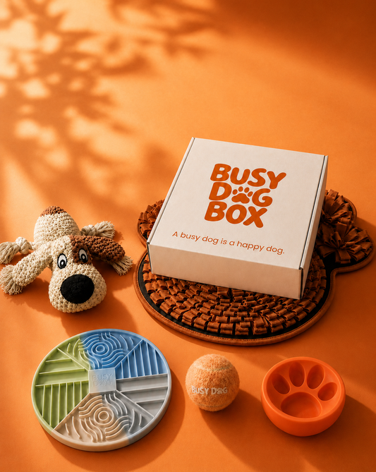 The Busy Dog Box