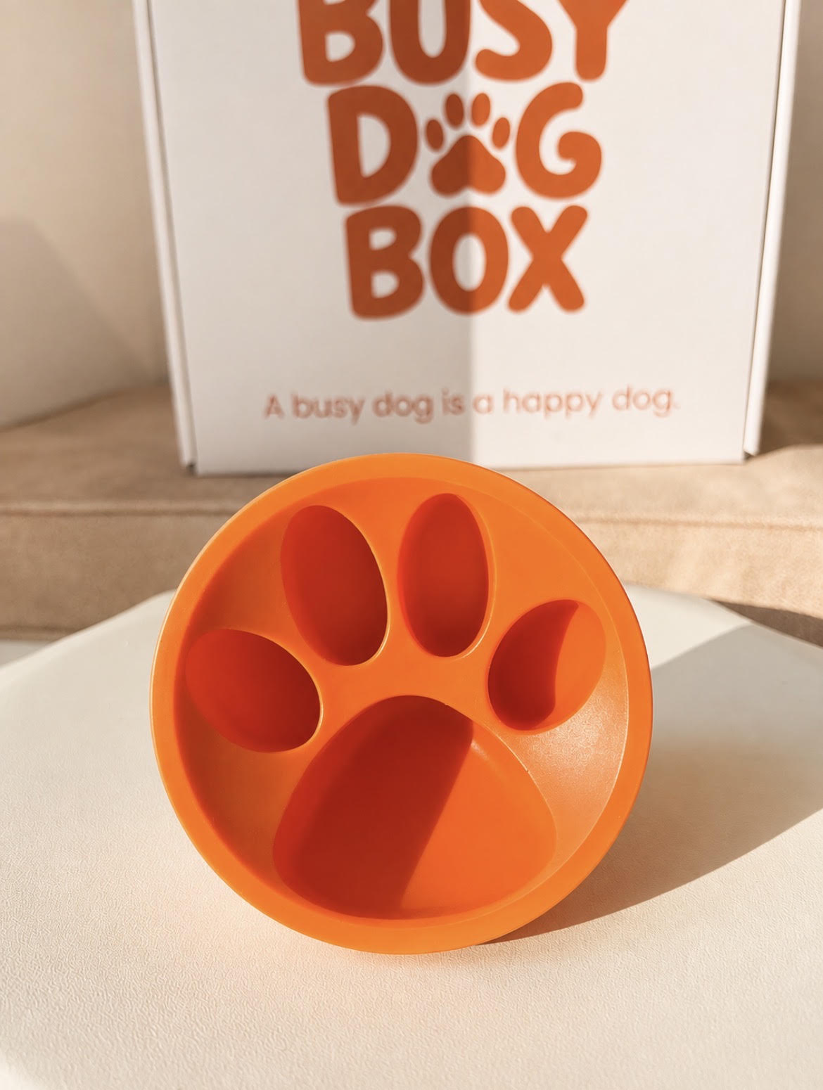 The Busy Dog Freeze Paw