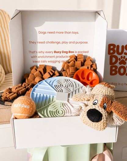 An open white dog enrichment box filled with toys, including a plush dog toy, a tennis ball, chew treats, a blue and green puzzle mat, and an orange tug toy. The inside lid has printed text about dog enrichment, and another branded box is partially visible on the right.