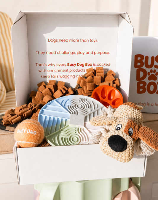 An open white dog enrichment box filled with toys, including a plush dog toy, a tennis ball, chew treats, a blue and green puzzle mat, and an orange tug toy. The inside lid has printed text about dog enrichment, and another branded box is partially visible on the right.