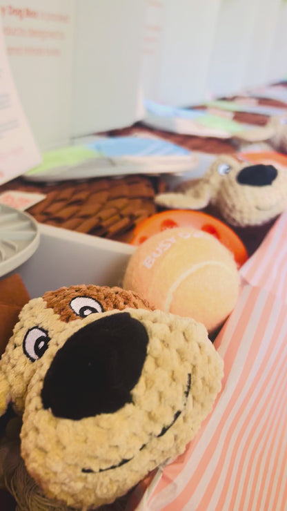 The Busy Dog Box