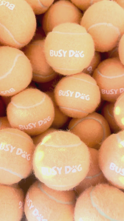 Busy Dog Tennis Ball
