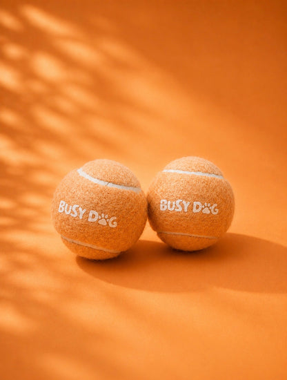 Durable dog tennis ball for fetch, exercise, enrichment and interactive play.
